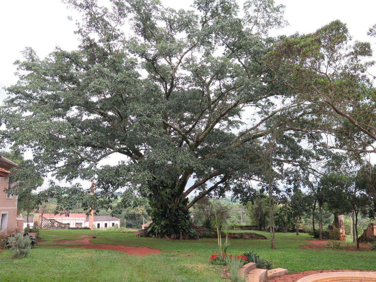 Chales Na Fazenda Santo Antonio de Posse Exterior foto
