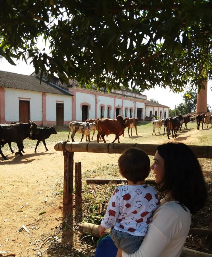 Chales Na Fazenda Santo Antonio de Posse Exterior foto