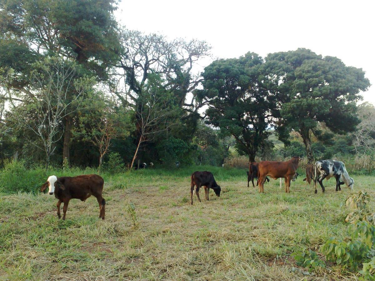 Chales Na Fazenda Santo Antonio de Posse Exterior foto